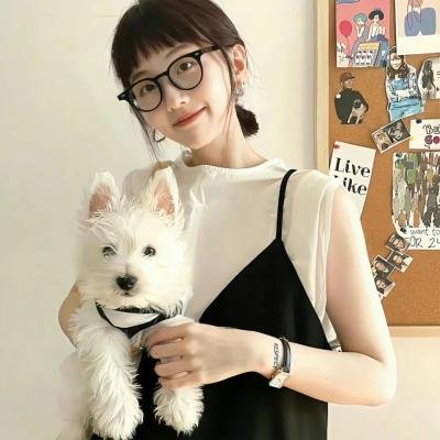 风骚律师第三季